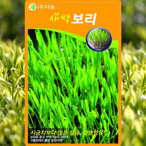다농 새싹보리 씨앗 30g 새싹 보리씨 종자