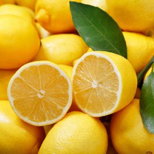 [기타]미국 레몬 대과 10과 (개당 140g 내외)