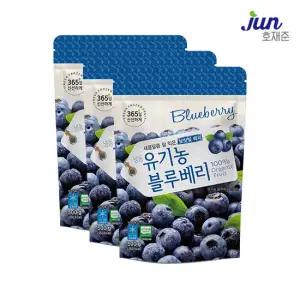 [호재준] 냉동 유기농블루베리(미국) 500g x 3팩