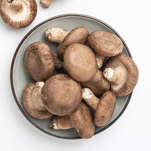 국내산 특품 표고버섯 1kg