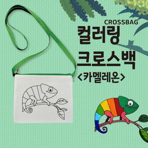 염색 채색놀이 컬러링 캔버스 에코백 크로스백 카멜레온 도안 단품