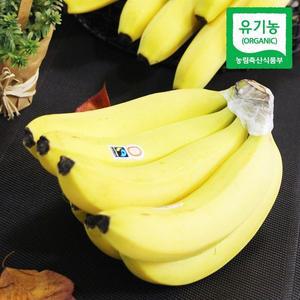 갤러리아 유기농 바나나 2.8kg 내외