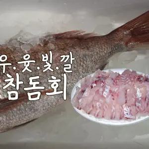 자연산 선어 생물 참돔회/450g 내외