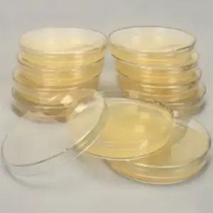 유산균배양배지 MRS Agar Plate 90mm 1pcs SN (냉장보관)