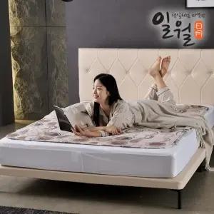 [내일도착] 26년형  시그니처 초절전형 워셔블 카본 탄소매트 전기매트 더블