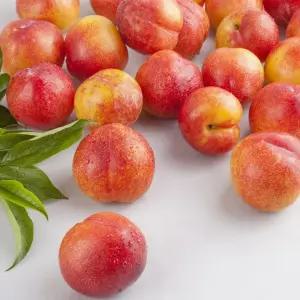 [글로니크] 국내산 김천 제철 노지 자두 중대과 3kg