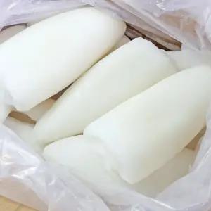 냉동 갑오징어롤 4kg 몸살 동체