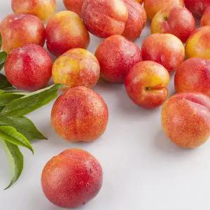 국내산 김천 제철 노지 자두 중대과 2kg