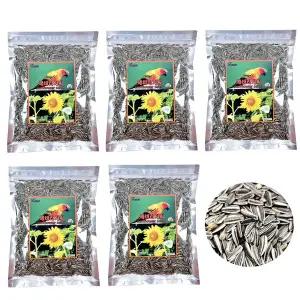 [애니몰파크]깨끗한 해바라기씨 400g 5개 앵무새 햄스터 사료