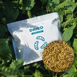 엔토모 건조 동애등에 500g 피닉스웜 모이 닭 병아리 초이 사료 첨가제 앵무새 메추리 먹이 오리 청계