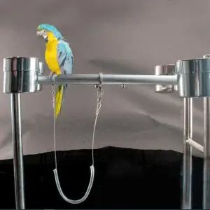 앵무새 훈련 하네스조류끈 비행 발목링