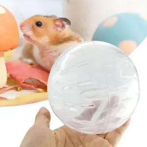 [콩심팥심]쳇바퀴 기니피그 장난감 햄스터볼 볼 운동