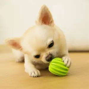 펫마블 펫마블 츄잉토이 강아지 장난감 츄잉볼 노즈워크  S)