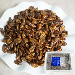 번데기 4kg 무료배송 냉동번데기 길거리 간식의 대표 365일 안심포장 쪽빛누리