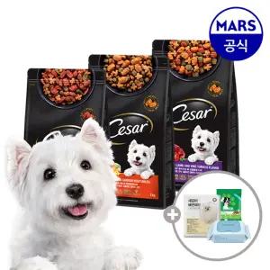 시저 건사료 1kgx2개 골라담기+아이엠즈+배변패드+베베숲물티슈