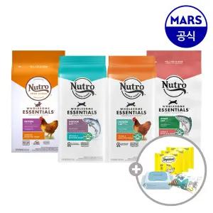 뉴트로 캣 2.27kg 골라담기+캣닢쿠션+베베숲물티슈+템테이션12gx3개