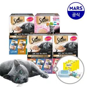 쉬바 미니 리치 35gx12개 골라담기+캣닢쿠션+베베숲물티슈+템테이션12gx3개