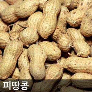 25년산 껍질채 볶은피땅콩 1kg 볶음땅콩 대보름부럼 하양마트
