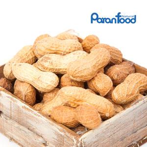 볶음피땅콩1kg(500gX2봉) 견과류