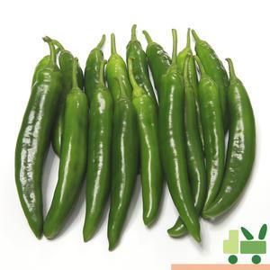 오이고추 2Kg (특)