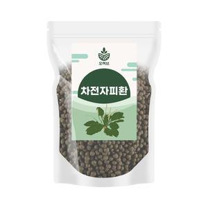 차전자피환 250g 차전차피 실리엄허스크
