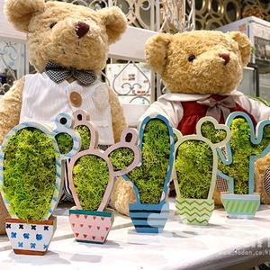 [오피스스쿨] 선인장 모스 화분 만들기 5인세트