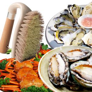 전복솔 우드 주방솔 전복 손질솔 야채 세척솔