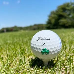 라라랜드 골프공라이너 캐디용품 악세사리 골프마킹 테슬라 벤츠 스마일볼마커 스탬프 도장