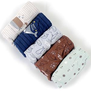 남아 아동 초등학생 순면 삼각 팬티 5매입 세트 (65-85) M527