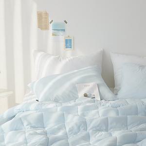 아르페지오베이직 스무스 마이크로 워싱 베개커버, 샤이스카이, 50X70cm, 2개