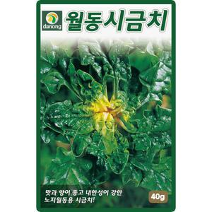 다농 월동시금치 씨앗 40g 노지 월동재배 시금치씨 종자