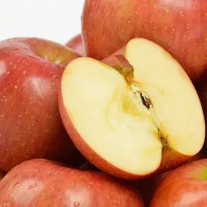 국내산 빨간 홍로 사과 대과 5kg 16-20과