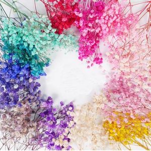 프리저브드플라워 드라이플라워 안개꽃 DIY재료