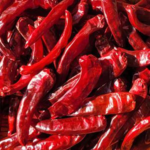 신기촌마을 25년 시골 햇 건고추 500g 산지출발