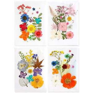 KJP 압화 압화꽃 꽃송이 누름꽃 조화 만들기 압화재료 레진아트 다이어리꾸미기