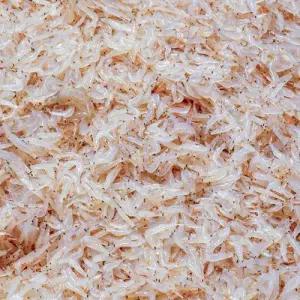 [롯데백화점]푸드진정성 인천 소래포구 김장용 생새우 1kg/급냉 김장새우 동백하