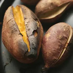 해남 꿀고구마 밤고구마 한입 3kg