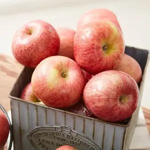 고랭지 경북 영주 풍기 못난이 금계사과 10kg 사이즈 랜덤