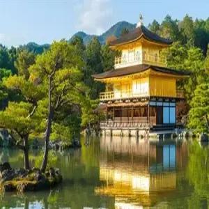 [엄마가 만든 가족여행/팁포함] 오사카/교토/고베+온천 4일_[유니버셜스튜디오 선택 가능]