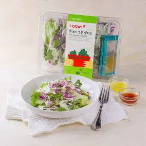 원데이 그린샐러드 303g (81g*3)