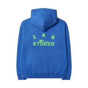 [정품] 아이앱 스튜디오 x 포켓몬 통째로 삼켜진 피카츄 후드 블루 그린 IAB Studio Pokemon Swallowed Up