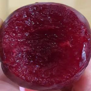 피자두 묘목 판매 (자연농원)솔담수박자두최소구매2개