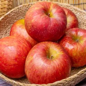 경북 홍로사과 가정용 2kg 소과(10-13)