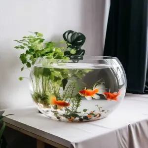 대형 둥근 어항 유리 라운드 투명 수족관 수조