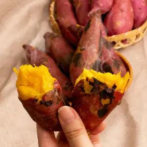 픽댓 여주 햇 세척 호박고구마 특상 10kg (100-300g)