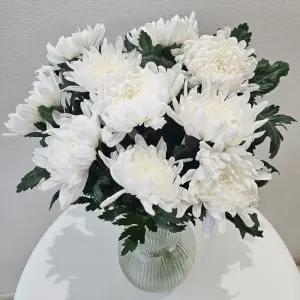 [꽃같은하루] 국화 대국 흰국화 성묘 납골당 꽃 생화택배