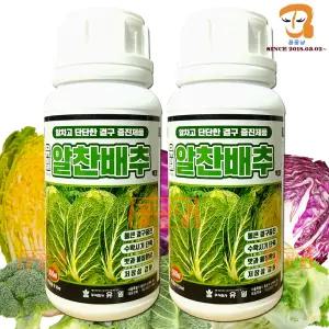 텃밭 김장배추 양배추 양상추 브로콜리 무 결구촉진제 배추 전용 추비 복합비료 액비 배추밭 웃거름 영양제 속을 꽉차게 결구전용 비료 500mlx2병