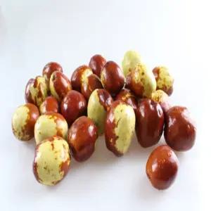 충남 부여산 햇 사과대추 (특대) 1kg