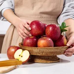 [더조은푸드] 햇사과 경북직송 감홍사과 (가정용) 2kg 7-9과