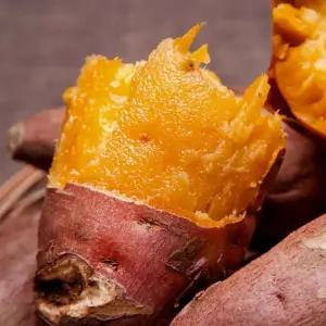 국내산 호풍미 풍원미 고구마 로얄 2kg